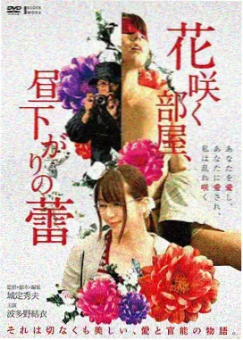 铁轨上的月亮文艺电影高清在线观看